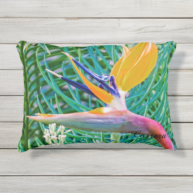 D'extérieur Coussin extérieur, oiseau de conception de paradis (Devant)