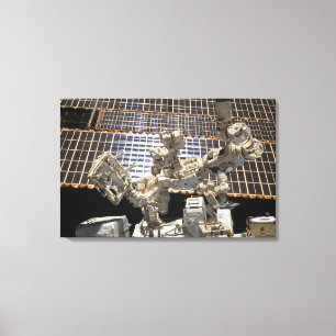 Dextre Canvas Print