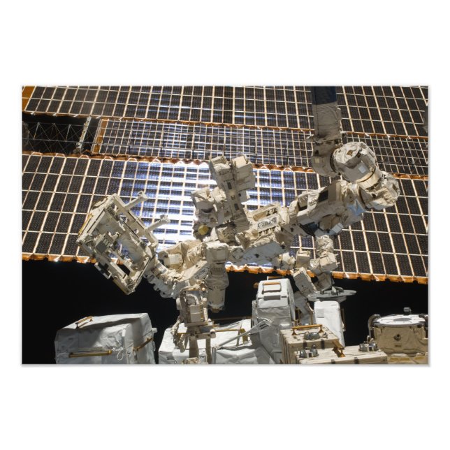 Dextre Photo Print (Front)