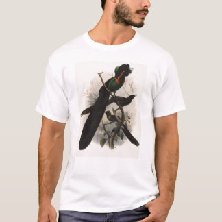 DG Elliot - Astrapia nigra T-Shirt
