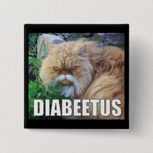 diabeetus 2 inch square button