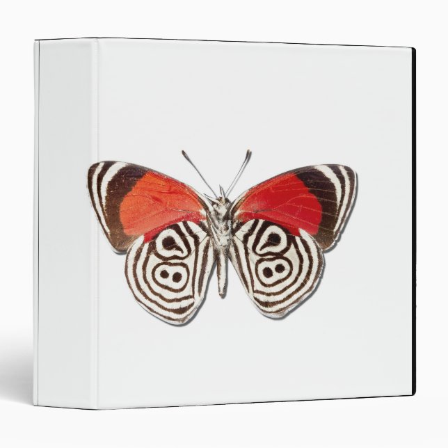 Diaethria clymena binder (Front/Spine)