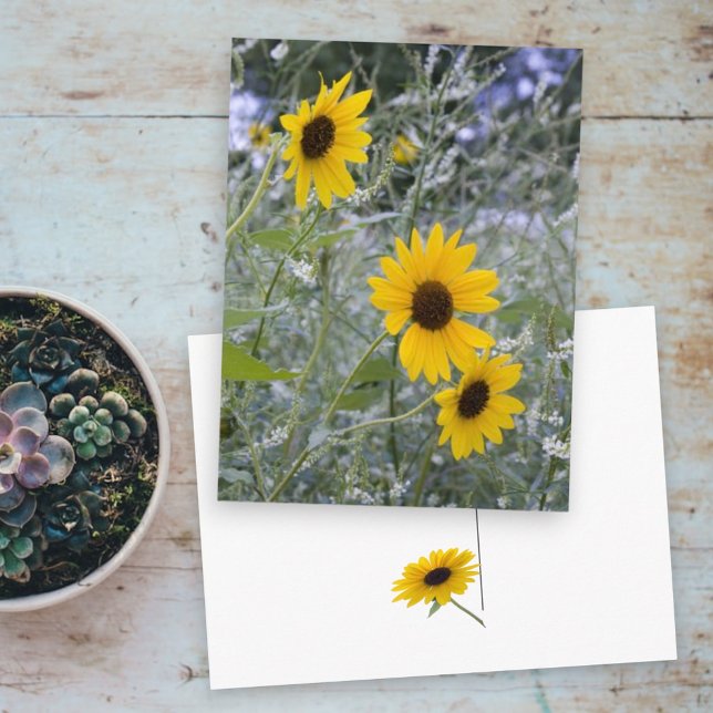 Diagonal Stack Sunflowers Postcard (three sunflower front and back single sunflower postcard)