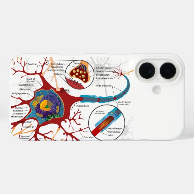 Diagram Complete Neuron Cell Nerve Nervous System  Case-Mate iPhone Case (Back (Horizontal))