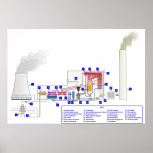 Diagram of a Coal Fired Thermal Power Station Poster