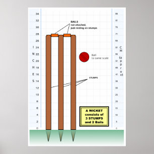 Diagram of a Wicket from the Game of Cricket Poster