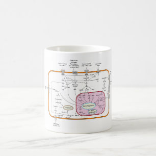 Diagram of Cell Gene Signal Transduction Pathways Coffee Mug