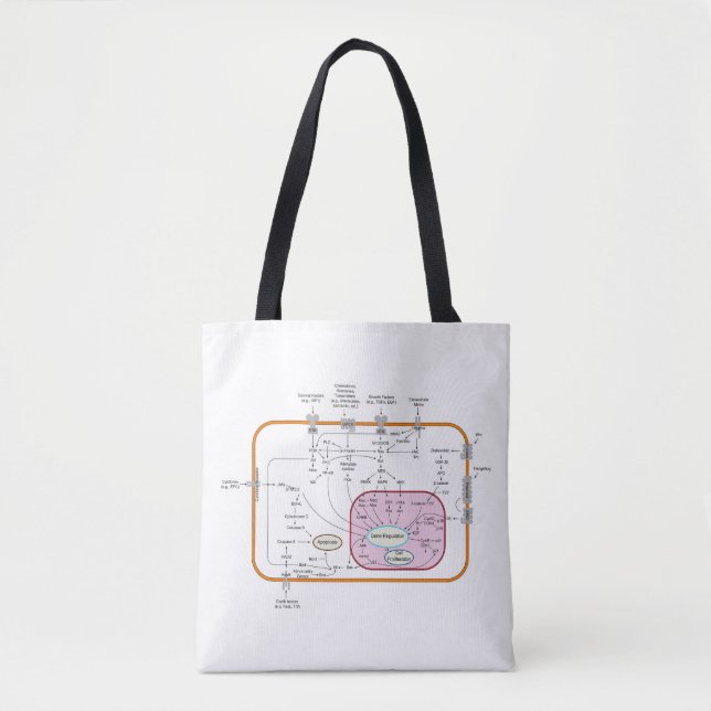 Diagram of Cell Gene Signal Transduction Pathways  Tote Bag (Front)