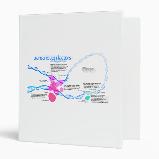 Diagram of gene transcription factors binder (Front/Inside)