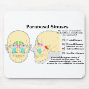 Diagram of Human Paranasal Sinuses Mouse Pad