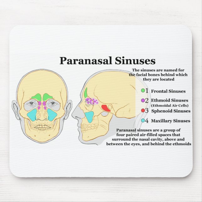 Diagram of Human Paranasal Sinuses Mouse Pad (Front)