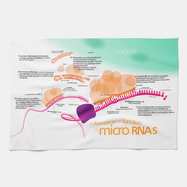 Diagram of microRNA Kitchen Towel (Horizontal)