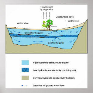 Diagram of the Aquatic Activity in an Aquifer Poster