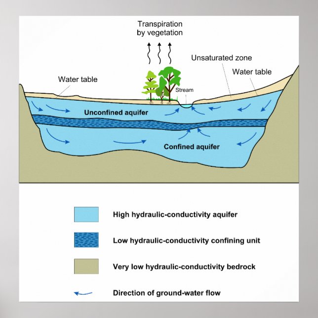 Diagram of the Aquatic Activity in an Aquifer Poster (Front)