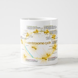 Diagram of the Centrosome Cycle Large Coffee Mug
