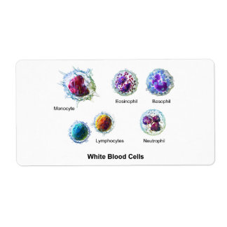 Diagram of White Blood Cells Leukocytes