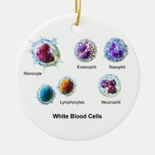 Diagram of White Blood Cells Leukocytes Ceramic Ornament