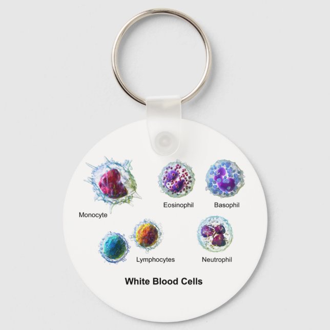 Diagram of White Blood Cells Leukocytes Keychain (Front)