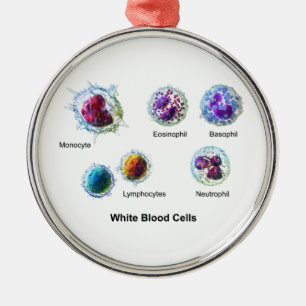 Diagram of White Blood Cells Leukocytes Metal Ornament