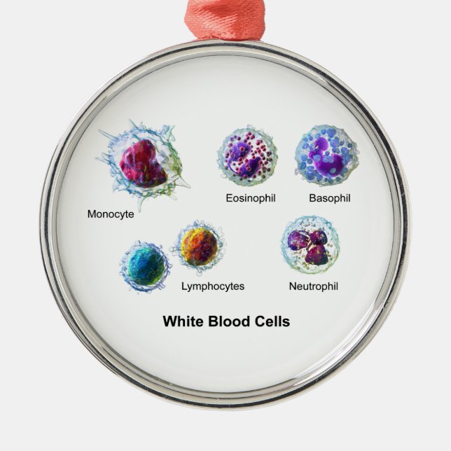 Diagram of White Blood Cells Leukocytes Metal Ornament (Front)