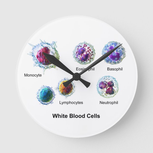 Diagram of White Blood Cells Leukocytes Round Clock (Front)