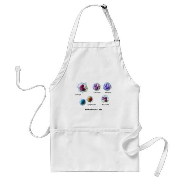 Diagram of White Blood Cells Leukocytes Standard Apron (Front)