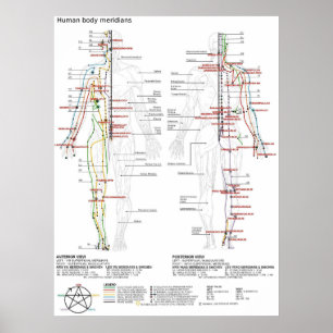  Diagram Schematic Chinese Meridians Human Body  Poster