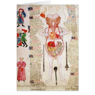 Diagramme anatomique