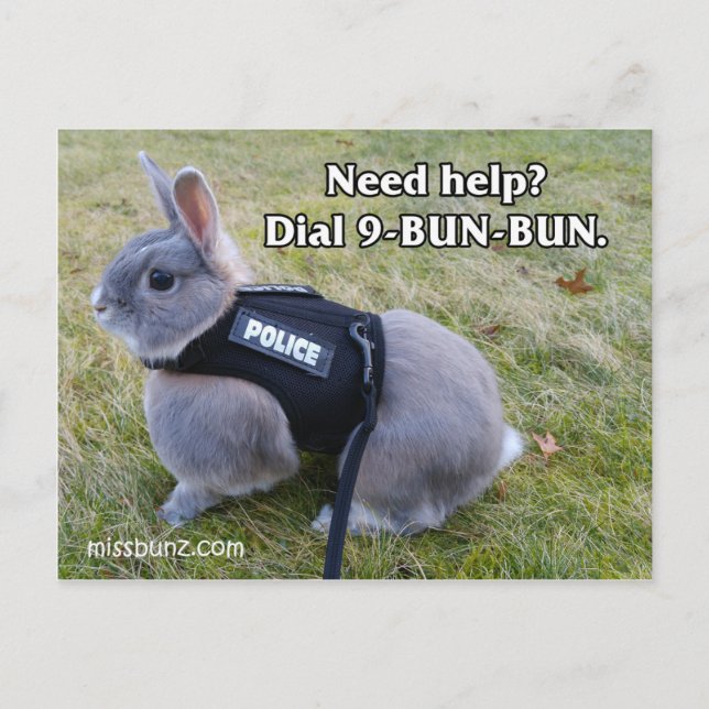 Dial 9 Bun Bun Postcard (Front)