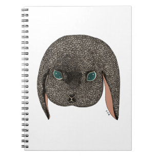 Diamond 2012 notebook