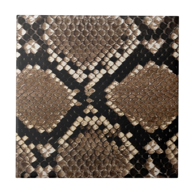 Diamond Back Rattlessnake Skin Tile (Front)
