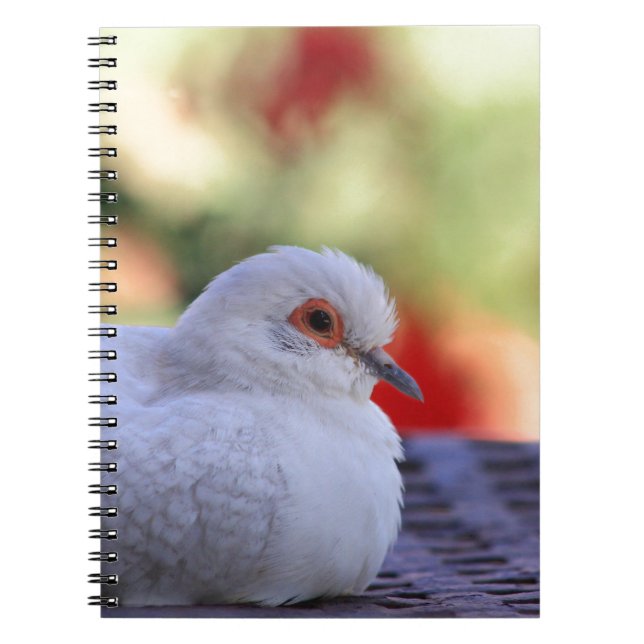 Diamond Dove Bird journal (Front)
