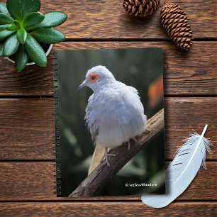 Diamond Dove in the Spotlight Notebook