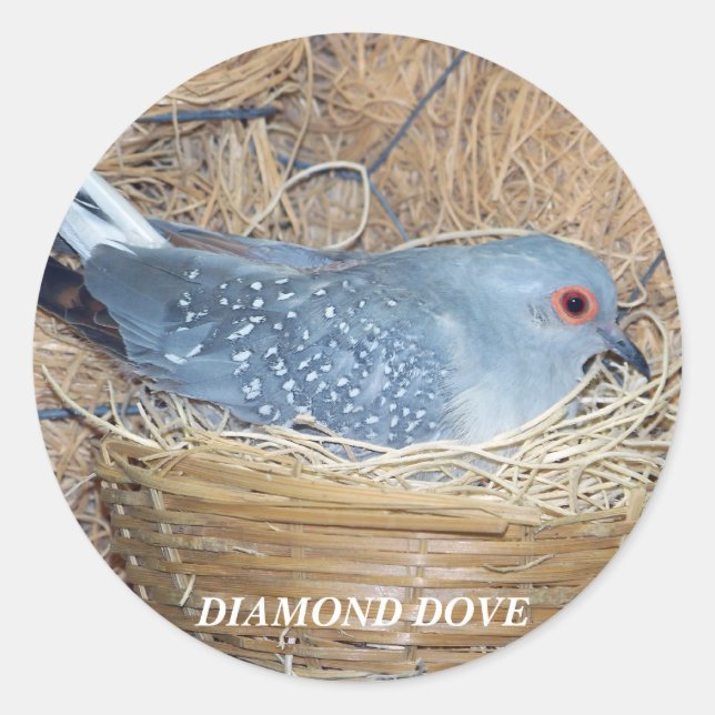 DIAMOND DOVE ON NEST STICKER (Front)