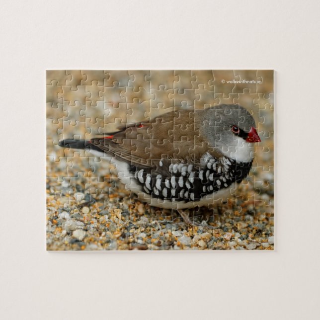 Diamond Firetail Finch Jigsaw Puzzle (Horizontal)
