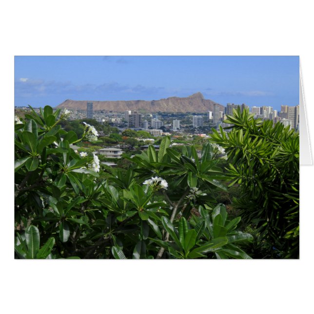 Diamond Head et Plumeria (Devant horizontal)
