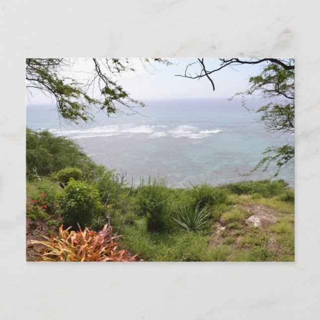 Diamond Head Look Out Postcard (Front)