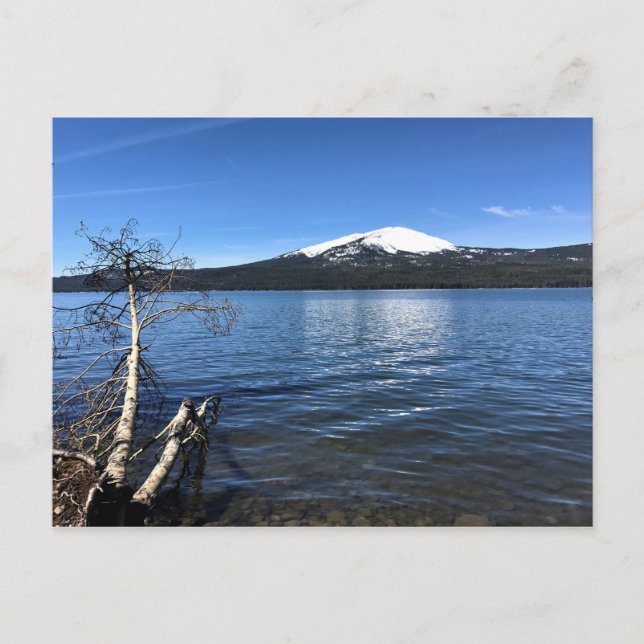 Diamond Lake, Oregon Postcard (Front)