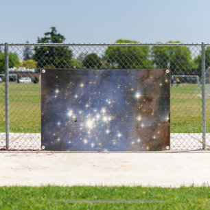 Diamond Stars in Carina Nebula Hubble Space Banner
