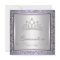 Diamond Tiara Purple Quinceanera