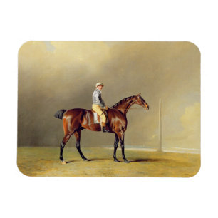 Diamond, with Dennis Fitzpatrick Up, 1799 (oil on Magnet