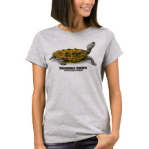 Diamondback Terrapin (Malaclemys terrapin)