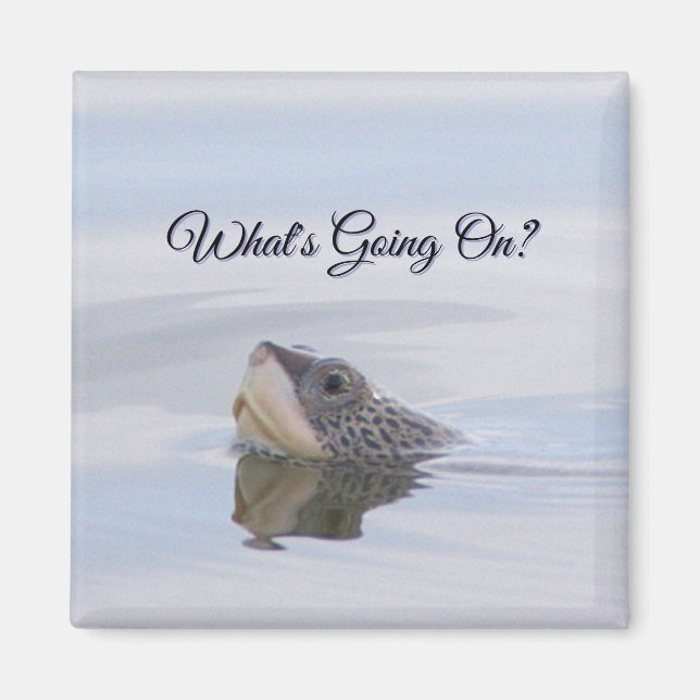 Diamondback Terrapin Turtle Face Magnet (Front)