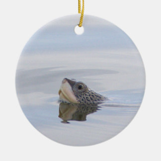 Diamondback Terrapin Turtle Face Ornament