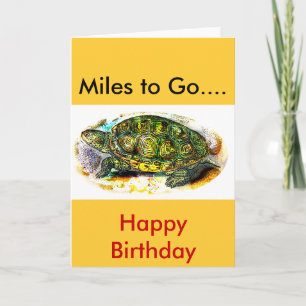 diamondback Terrapin Turtle from JungleWalk.Com Card