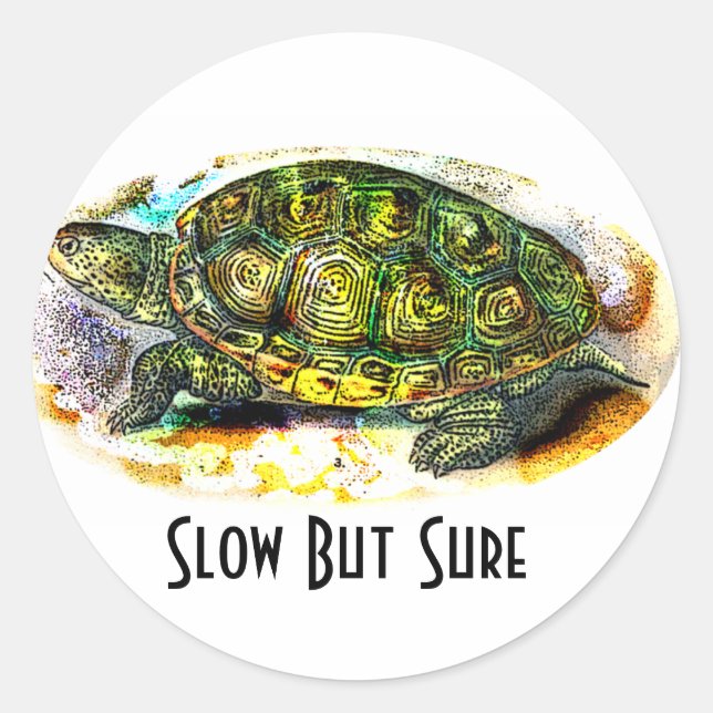 diamondback Terrapin Turtle from JungleWalk.Com Classic Round Sticker (Front)