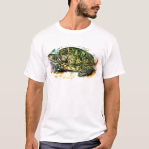 diamondback Terrapin Turtle from JungleWalk.Com T-Shirt