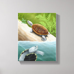 Diamondback Terrapin Turtles Wrapped Canvas