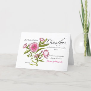 Dianthus Blank Card