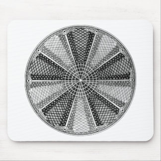 Diatom 13 Ernst Haeckel Fine Art Mouse Pad